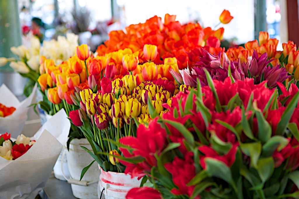 Tulips Pike Place Market