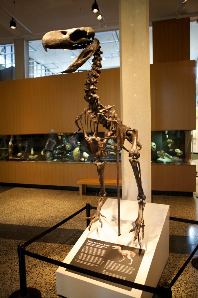 Burke Museum of Natural History and Culture