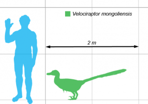 Velociraptor Scale