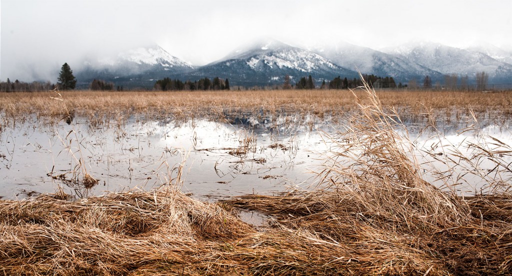 Springtime in the Rockies -- Bigfork, Montana. Photo taken by Davonna Juroe /