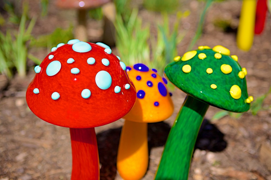 Seattle Glassblowing, Mushrooms, Alice In Wonderland
