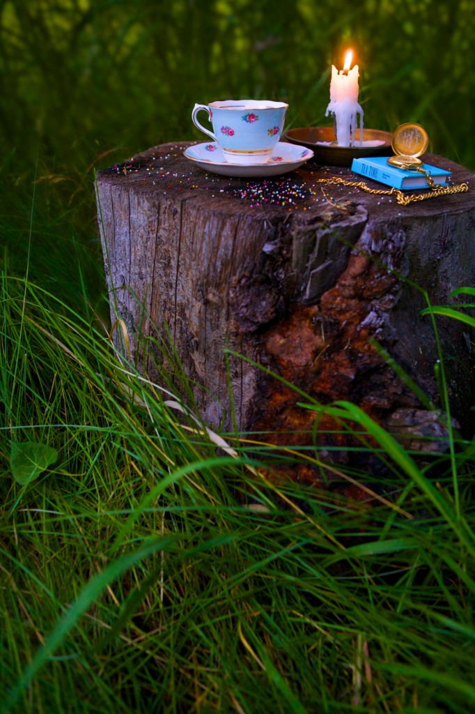 Magical Woodland Fairy Photos by Davonna Juroe www.davonnajuroe.com