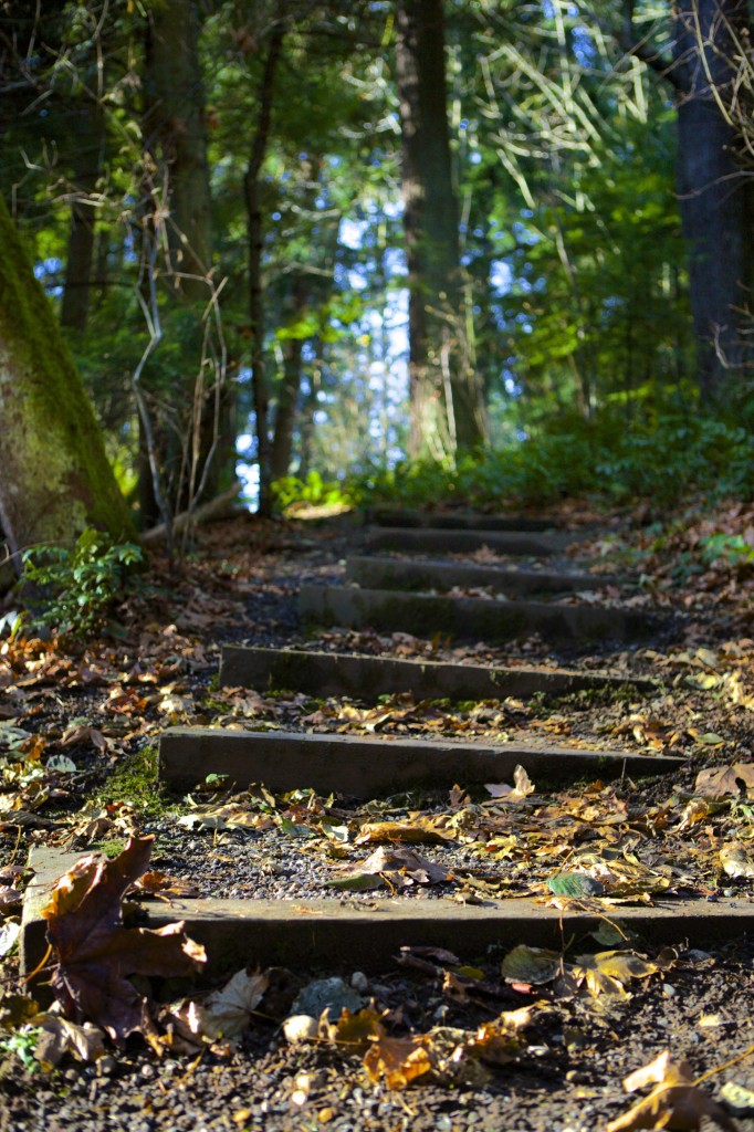 Carkeek Park Seattle