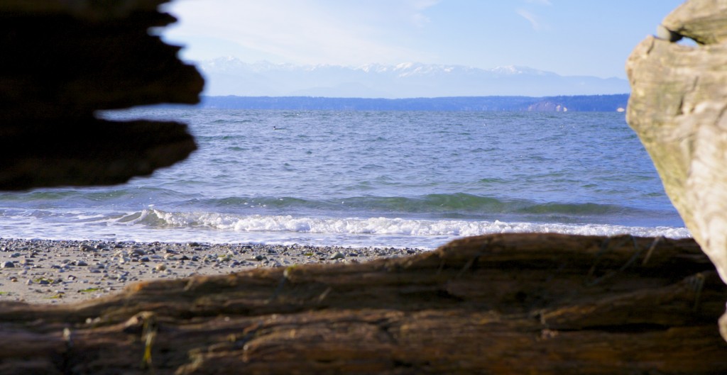 Carkeek Park Seattle