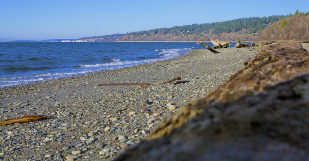 Carkeek Park Seattle