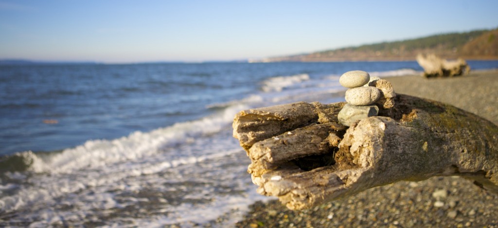 Carkeek Park Seattle