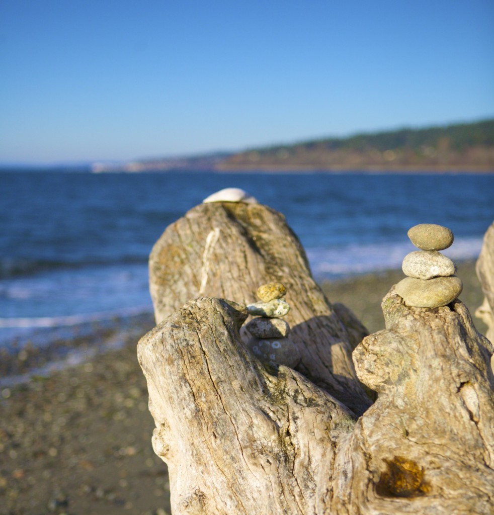 Carkeek Park Seattle