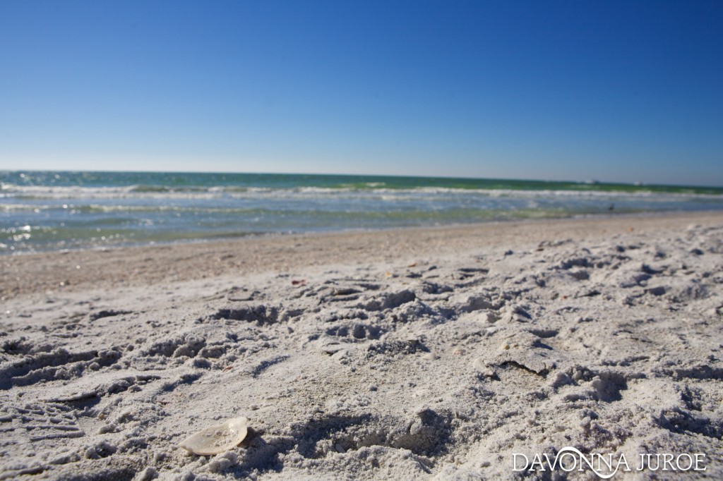 white sand beach, florida