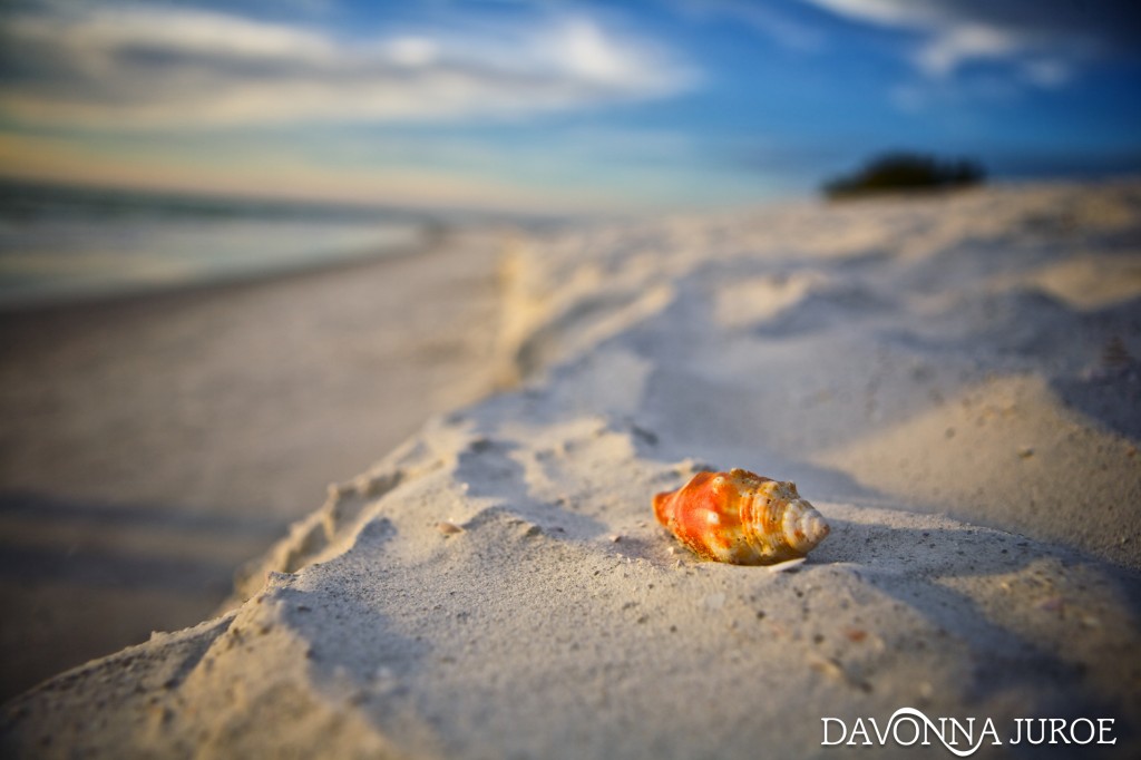 White sand beach