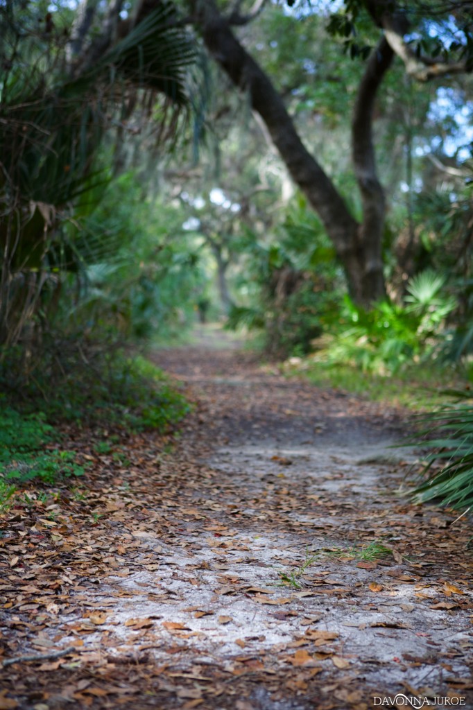 Boyd Hill Nature Preserve