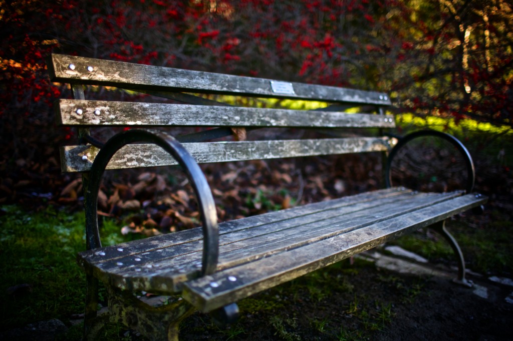 Washington Park Arboretum