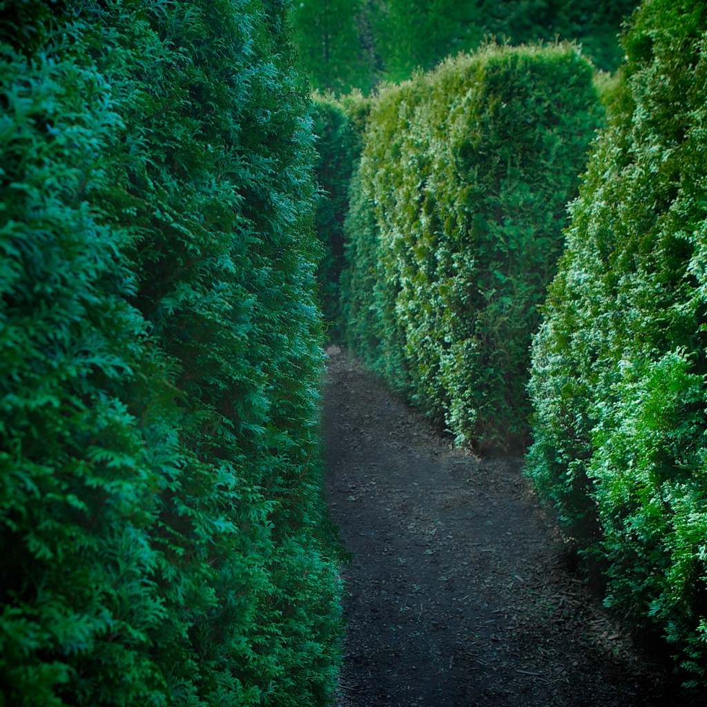 VanDusen Botanical Garden