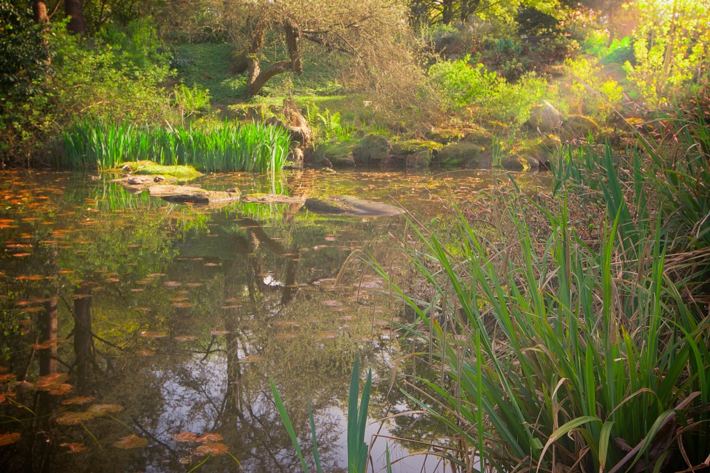 VanDusen Botanical Garden