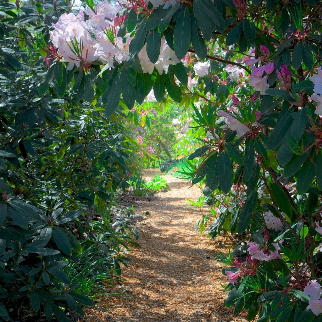 VanDusen Botanical Garden