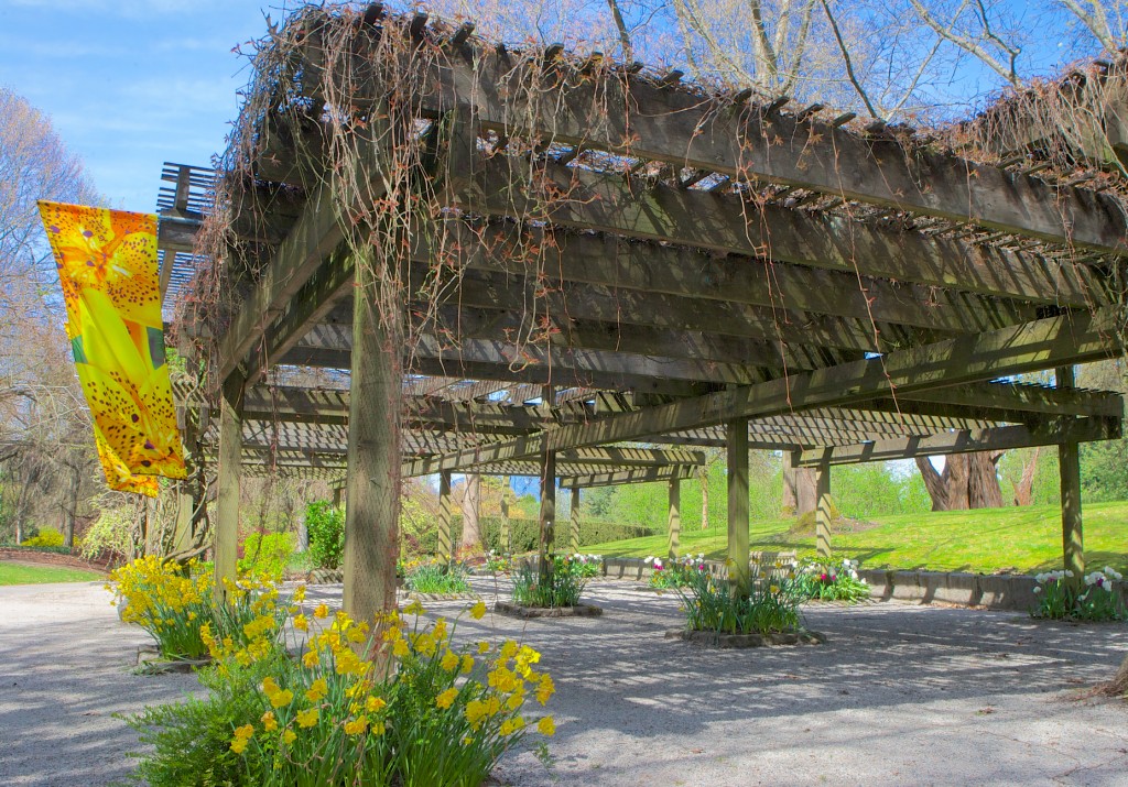 VanDusen Botanical Garden